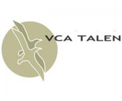 VCA Basic-szkolenie i egzamin-23.01-Rijswijk/Den Haag-j.polski