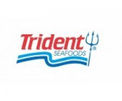 Nowa oferta pracy w przetwórni Trident Seafoods na Alasce